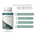 Collagen Collection