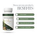 Collagen Collection