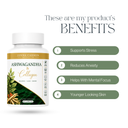 Ashwagandha & Collagen