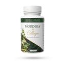 Morninga & Collagen